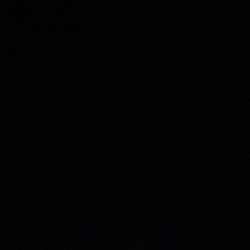 IGNORE